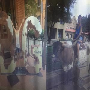 Meet your Posher, Sharon